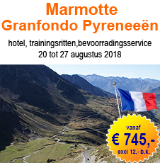 Marmotte_Pyreneeen