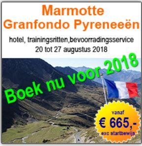 Marmotte Pyreneeën