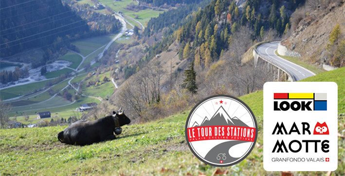 Marmotte Valais Zwitserland Tour des Stations